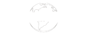 ANDREA WORLD